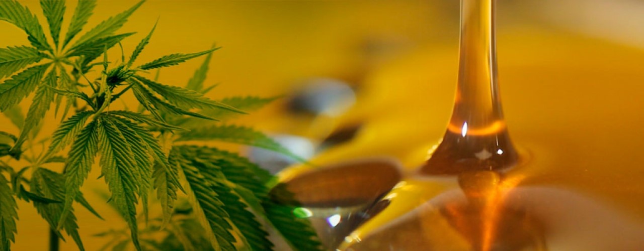 Best CBD Oil Orleans 
      VT 5860